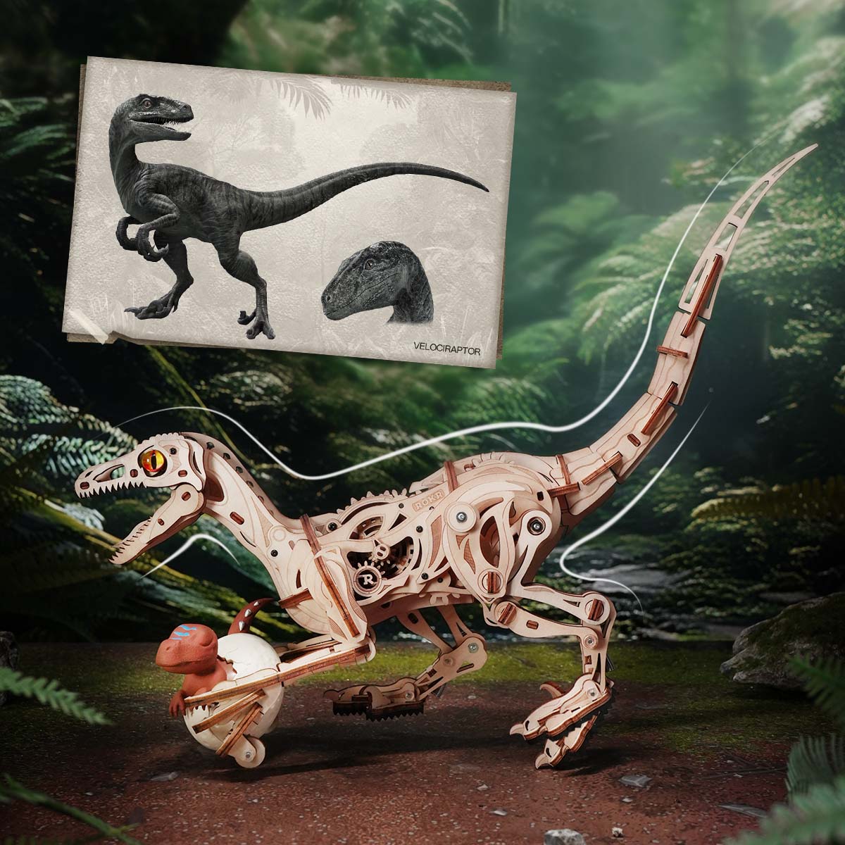 ROKR Velociraptor Mechanical mechanical 3D wooden puzzle, styled lifestyle shot LD01