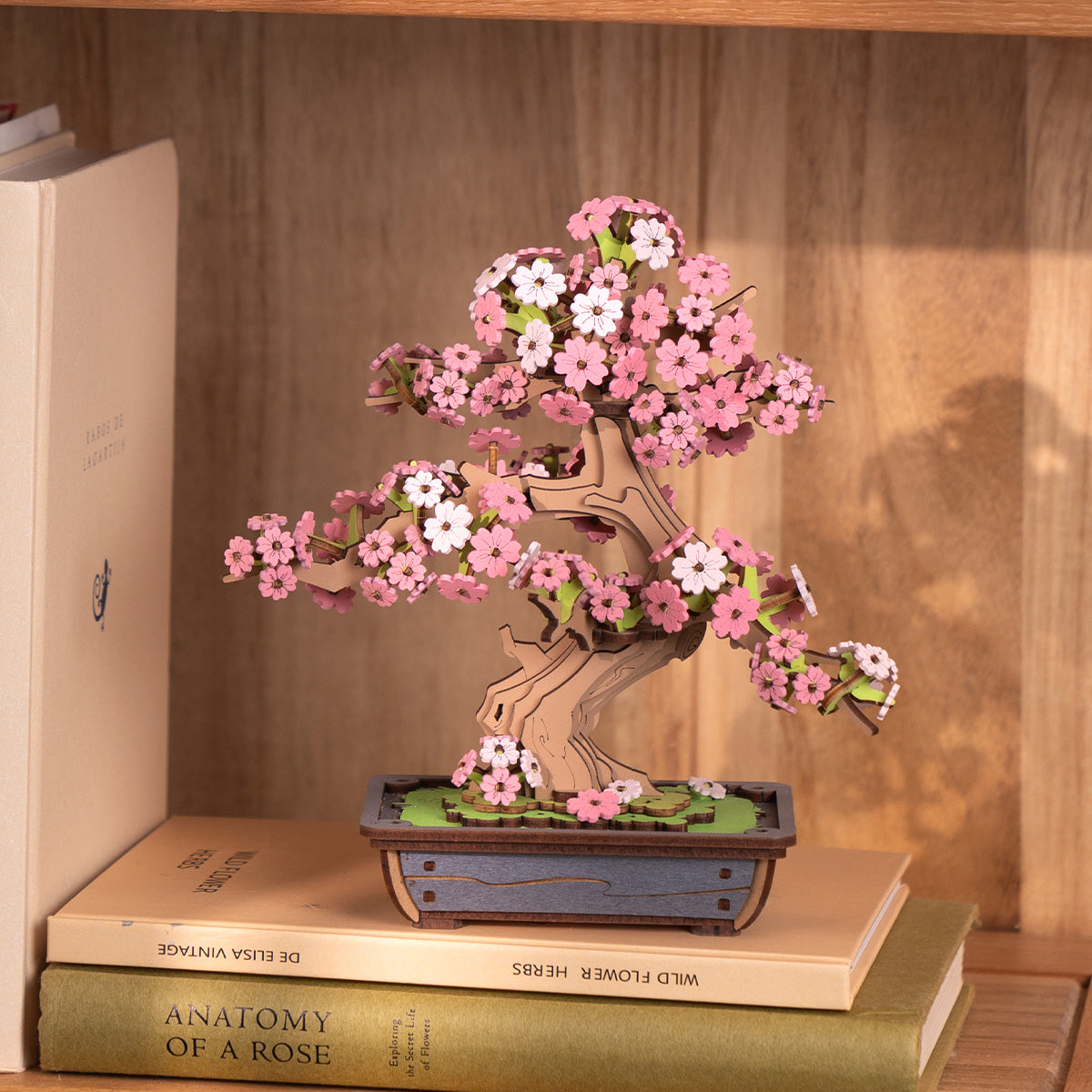 Rolife Sakura Bonsai TG415 displayed on stacked books on wooden shelf, pink blossoms against dark background