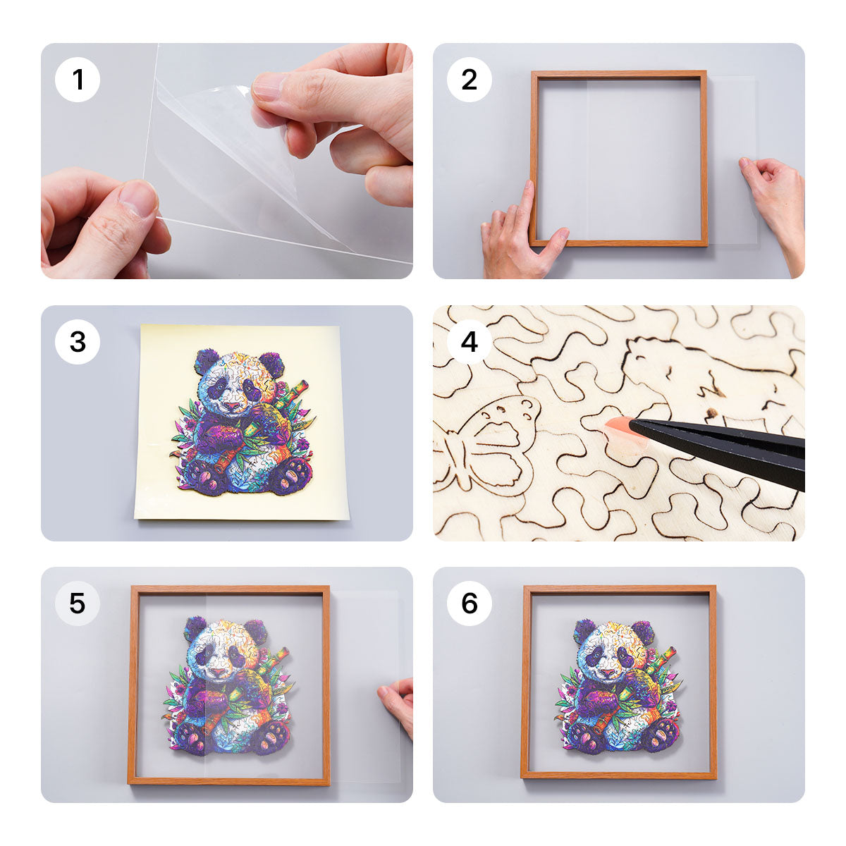 Six step assembly guide for the Rowood Floral Panda wooden jigsaw puzzle showing peeling adhesive, inserting the frame and sealing the acrylic cover