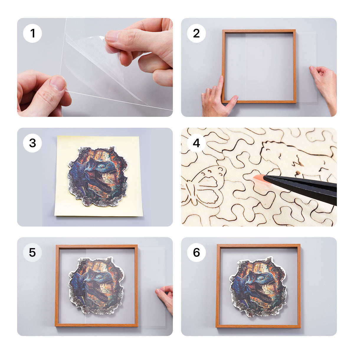 Six step assembly guide for the Rowood Wall Breaking T-Rex wooden jigsaw puzzle showing peeling adhesive, inserting the frame and sealing the acrylic cover