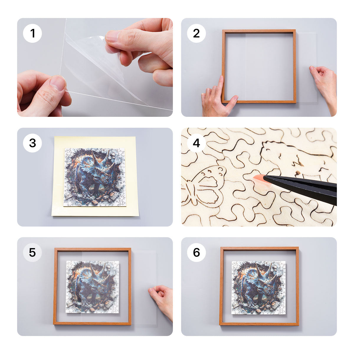 Six step assembly guide for the Rowood Wall Breaking Triceratops wooden jigsaw puzzle showing how to peel the adhesive sheet, insert the frame and seal the acrylic cover