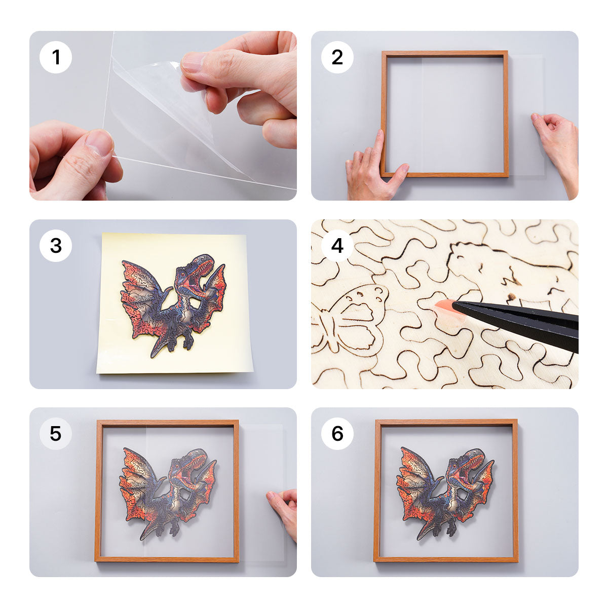 Six step assembly guide for the Rowood Fierce Pterosaur wooden jigsaw puzzle showing peeling adhesive, inserting the frame and sealing the acrylic cover