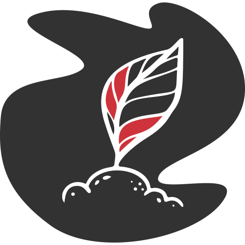 Robotime brand red and dark grey diamond gem icon illustration with sparkle lines on a dark organic shaped background