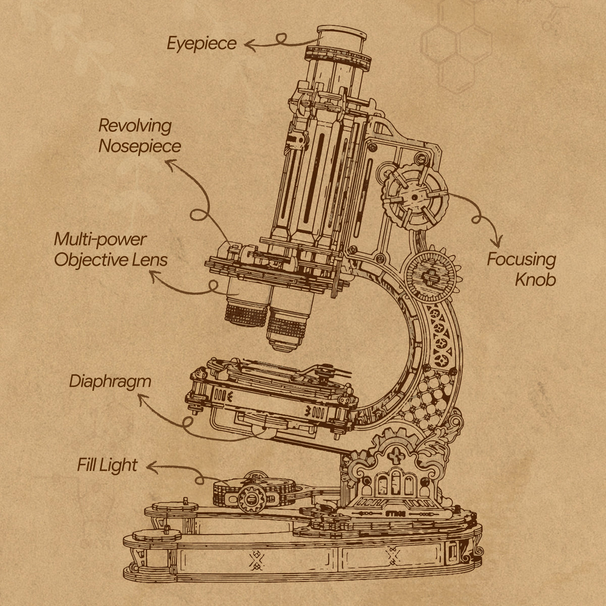 Sepia-toned technical diagram of the ROKR wooden microscope labeling eyepiece, revolving nosepiece, objective lenses, diaphragm and mirror