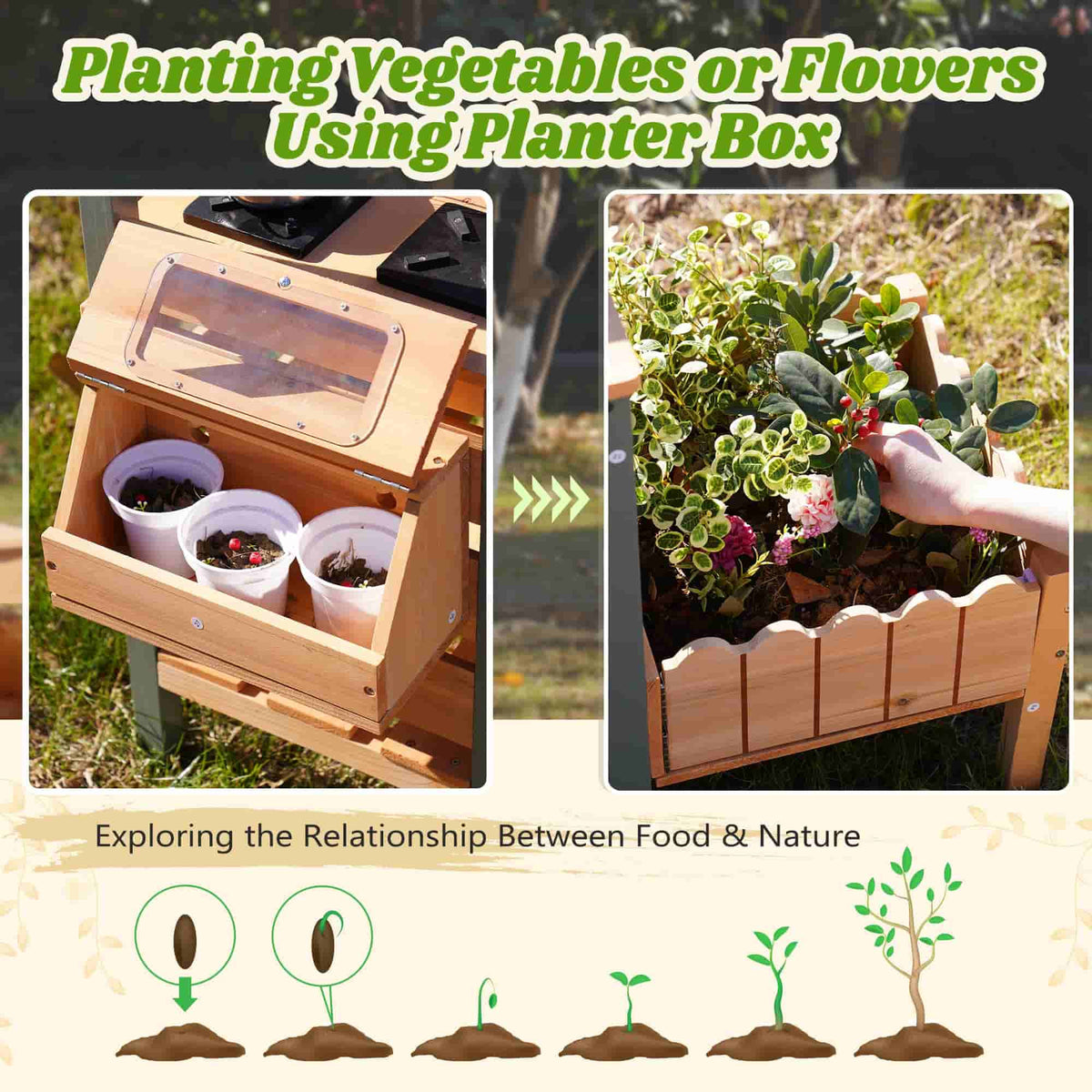 ROBUD outdoor wooden mud kitchen planting infographic showing seed cups in storage box progressing to a lush flower-filled planter box, exploring food and nature relationship