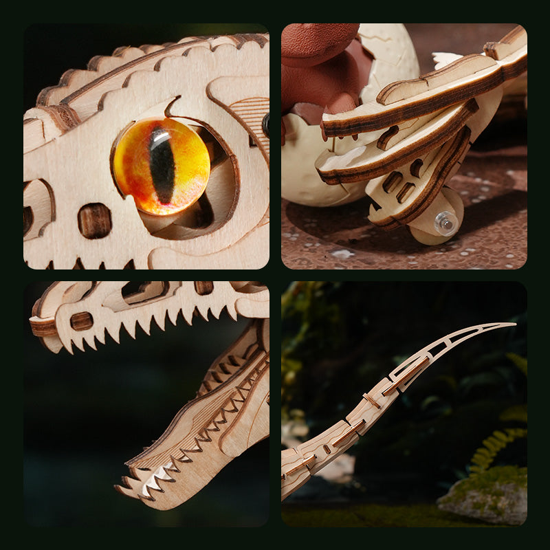 Compacte details