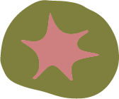 Olive green rounded shape with a dusty pink star burst accent, decorative floral illustration element