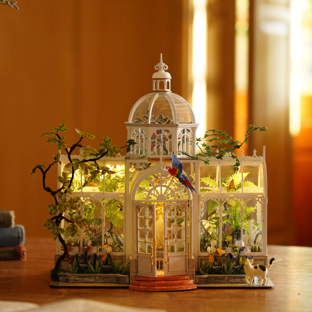 Illuminated Rolife Oxygen Oasis greenhouse glowing on a wooden table in warm sunlight