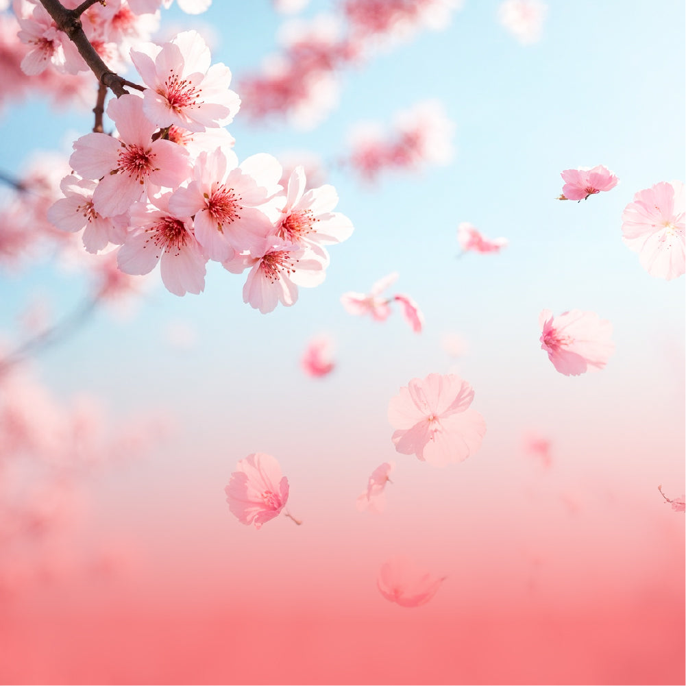 Pink cherry blossom branch in bloom with petals drifting against a soft blue-to-pink gradient sky background.