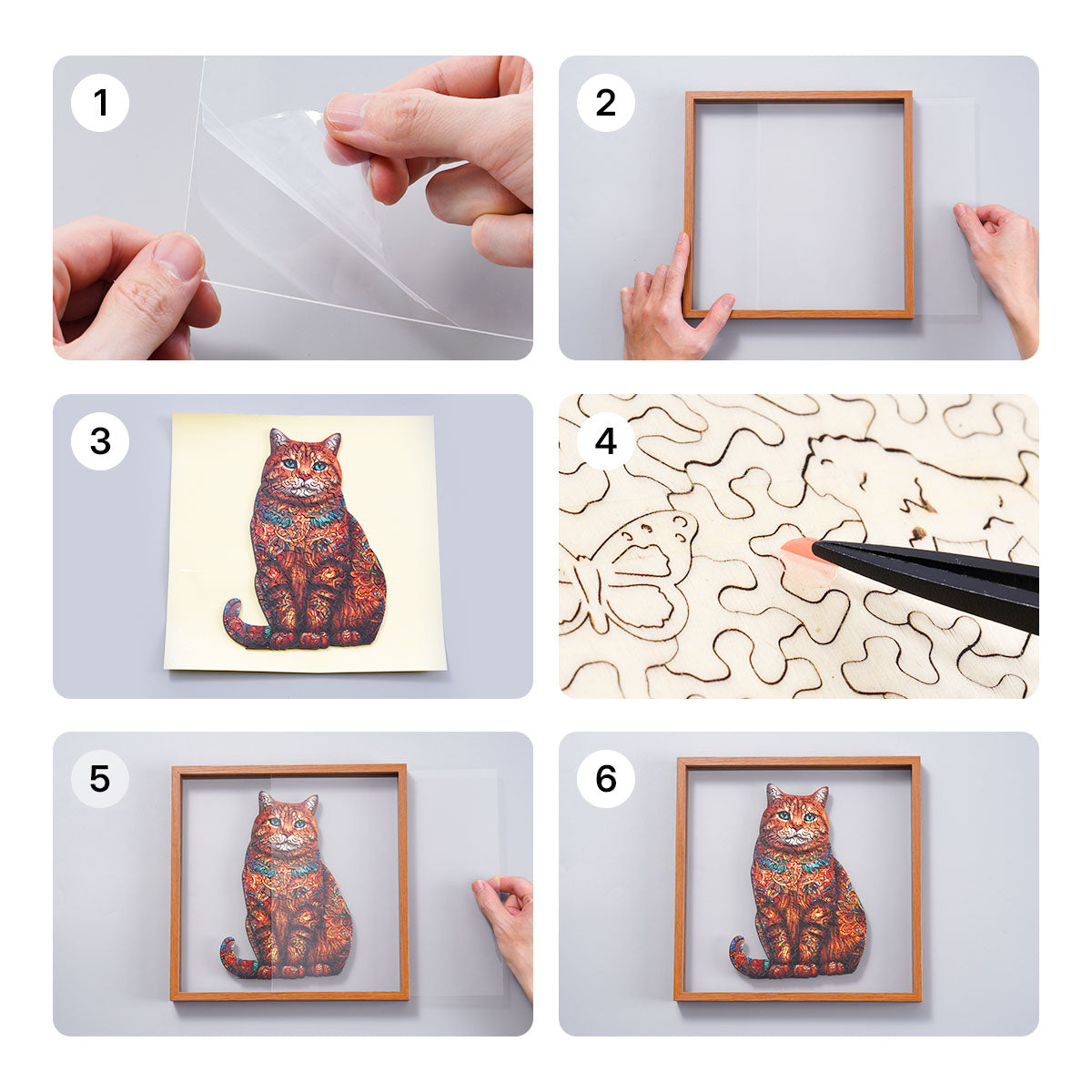 Six step assembly guide for the Rowood Exotic Cat wooden jigsaw puzzle showing peeling adhesive, inserting the frame and sealing the acrylic cover