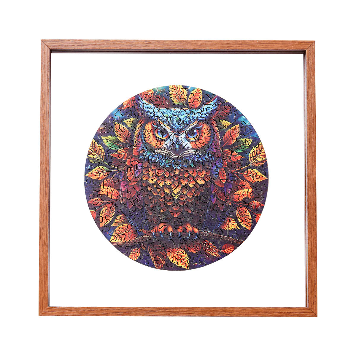 ROBOTIME Moonlight Owl Wooden Jigsaw Puzzle with Frame main product photo
