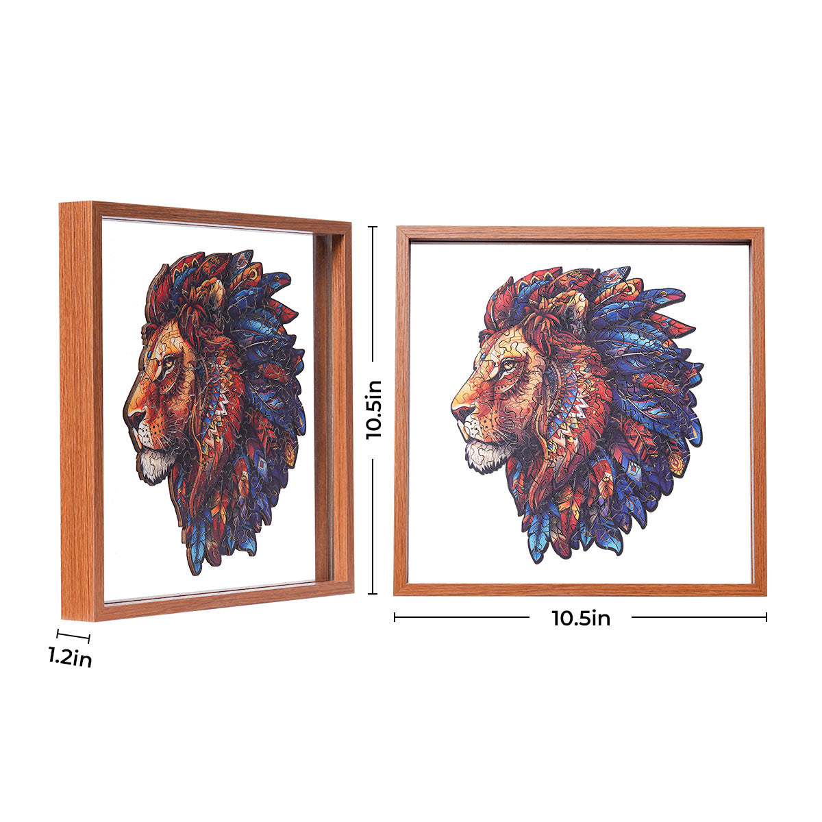 Rowood Lion King wooden jigsaw puzzle displayed in a 10.5 by 10.5 inch shadow box frame showing front and side profile views with dimensions