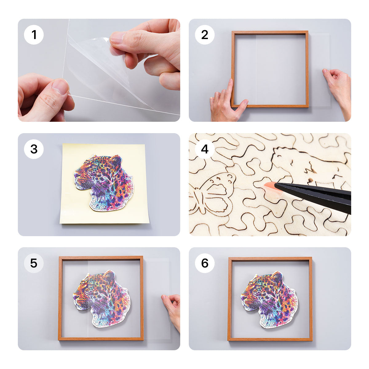 Six step assembly guide for the Rowood Fancy Leopard wooden jigsaw puzzle showing peeling adhesive, inserting the frame and sealing the acrylic cover