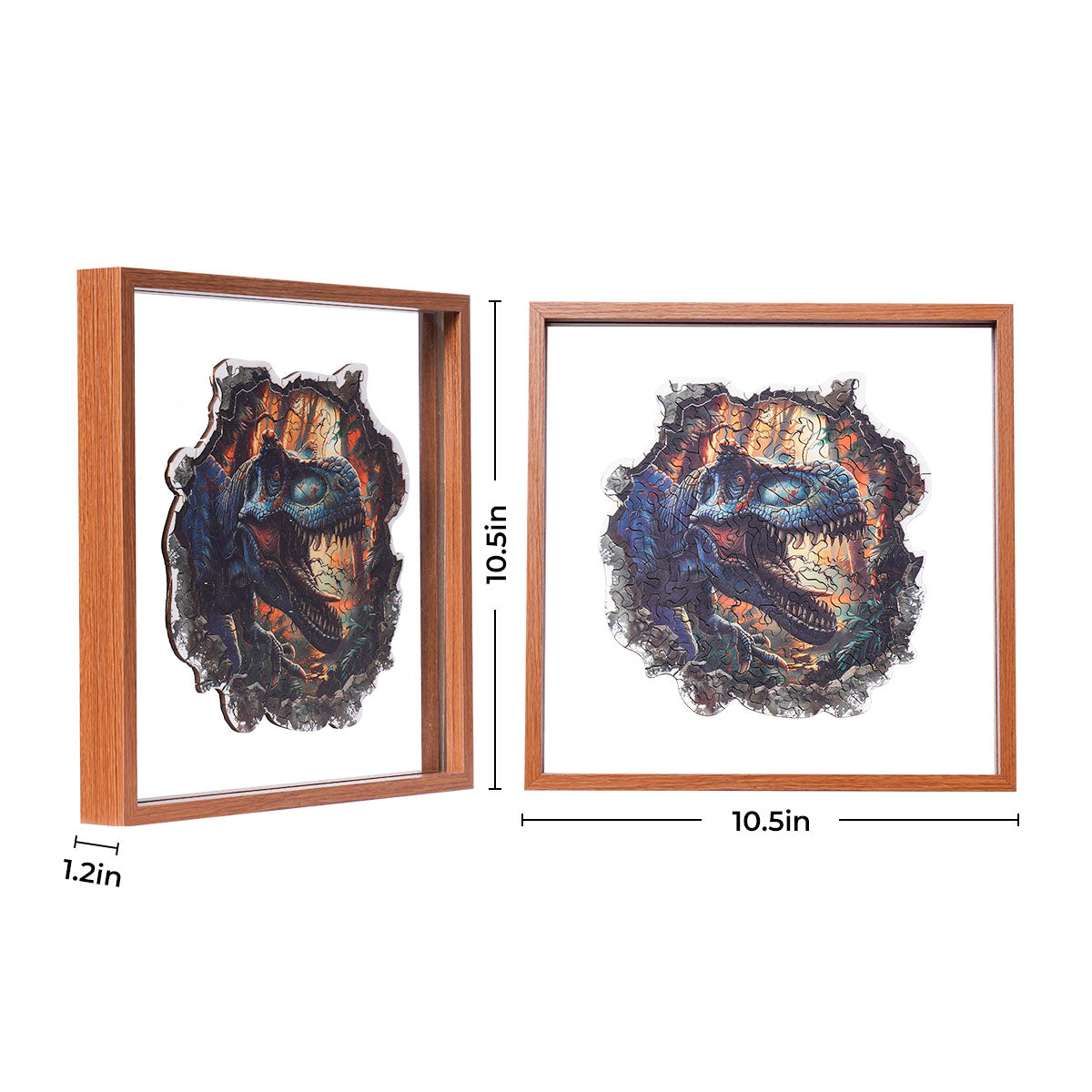 Rowood Wall Breaking T-Rex wooden jigsaw puzzle displayed in a 10.5 by 10.5 inch shadow box frame, showing front and side dimensions