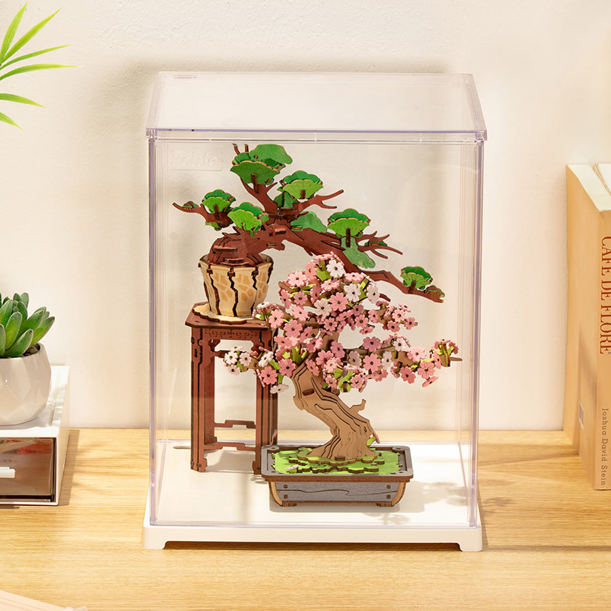 Rolife Clear Display Case Portrait Size M DF05L DIY craft kit, close-up of interior components and accessories