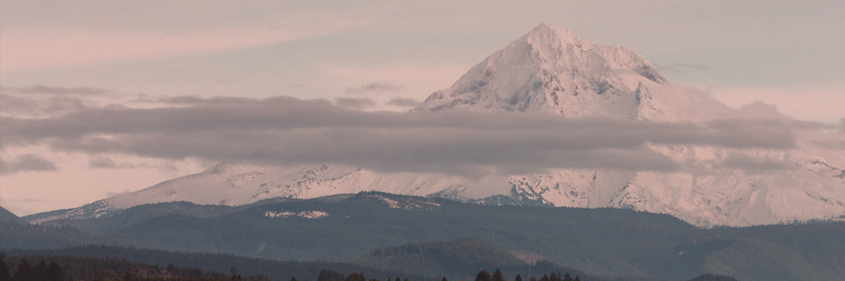 Snow-capped mountain peak at dusk with pink clouds and layered forested ridgelines in a panoramic landscape